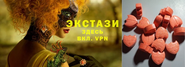 гашик Алексин