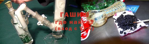 гашик Алексин