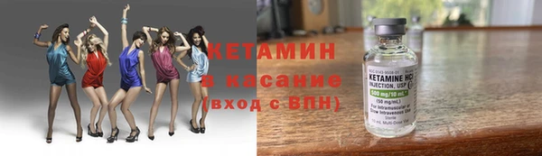 гашик Алексин