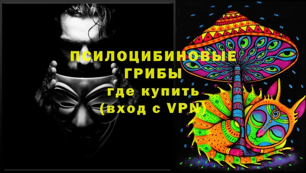 соль ск Алзамай