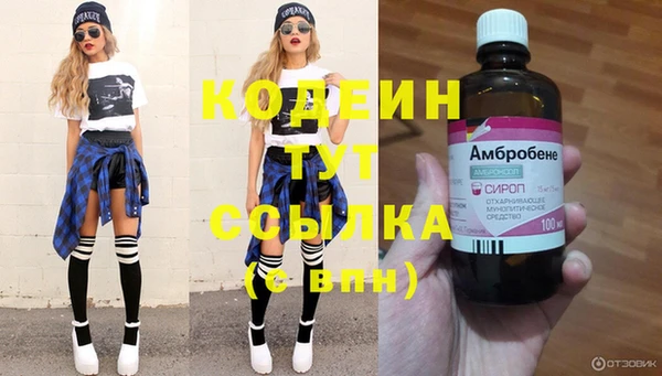 гашик Алексин