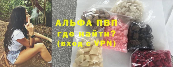 гашик Алексин