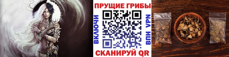 Галлюциногенные грибы Magic Shrooms  закладка  Сочи 
