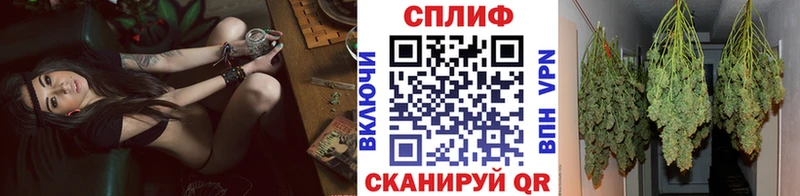 Шишки марихуана гибрид  Сочи 
